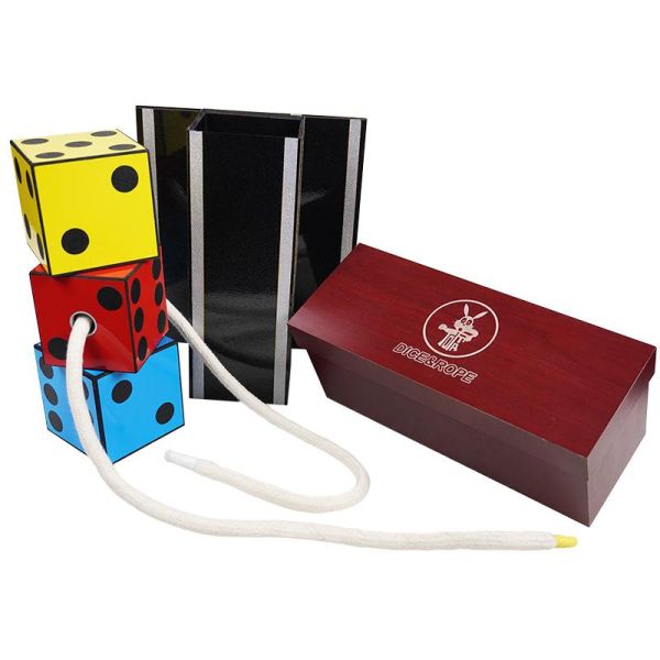 DICEAQ1