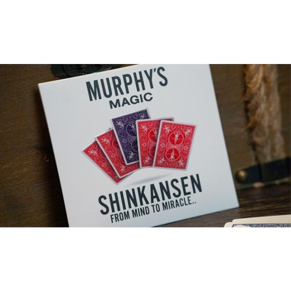 SHINKN1