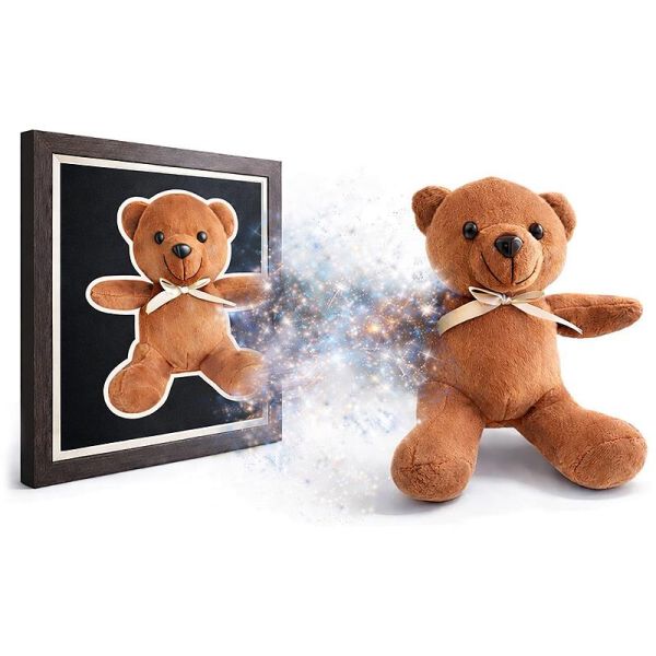 TEDDYX1