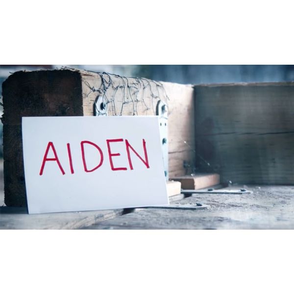 VT1_ADIEN_0