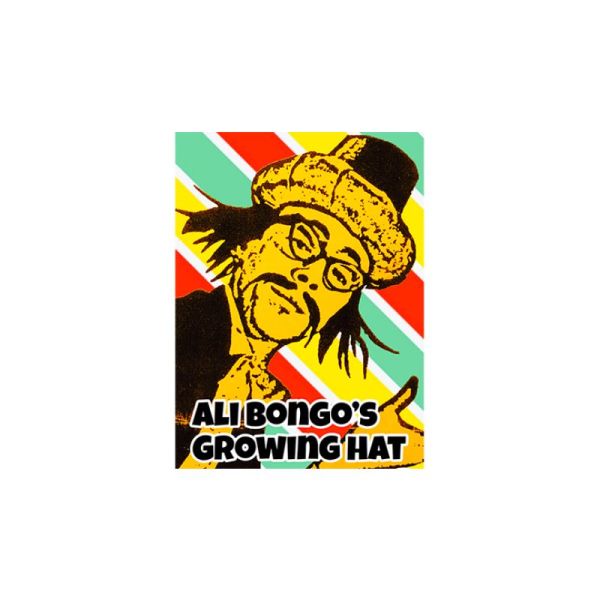 VT1_ALIBONGOHAT_0