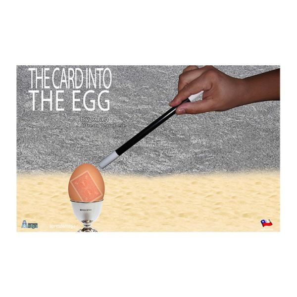 VT1_CARDINTOEGG_0