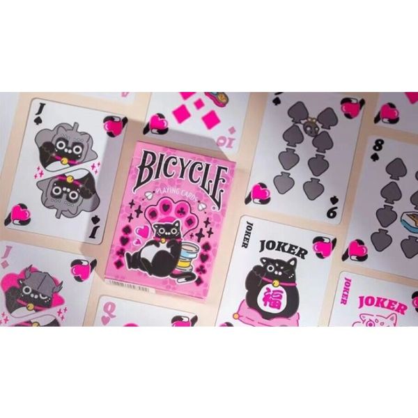 VT1_CARDSBICCAT_PINK_0