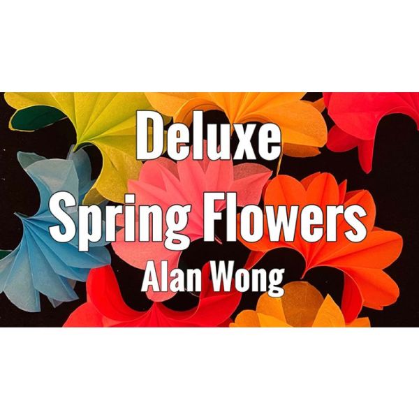 VT1_DLXSPRINGFLOW_0