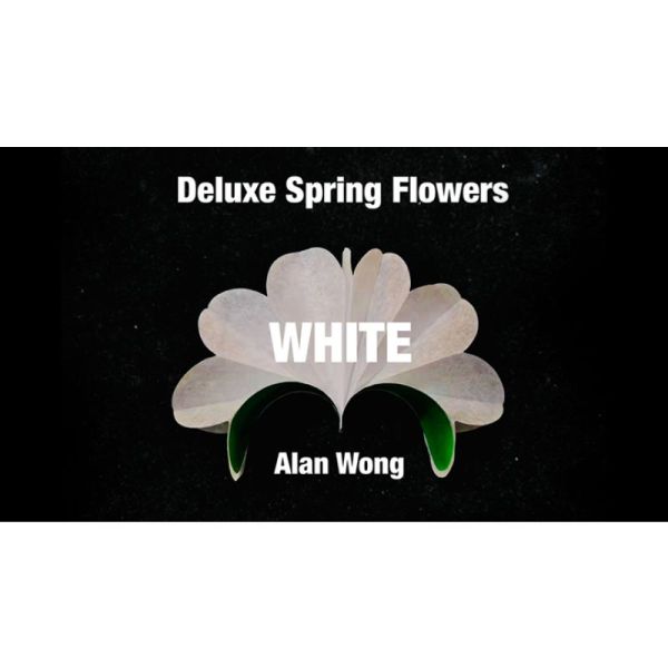 VT1_DLXSPRNG_WHT_0