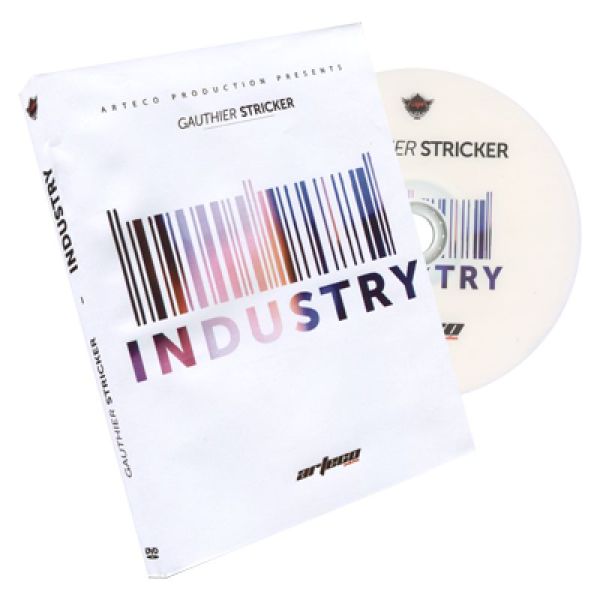 VT1_DVDINDUSTRY_0