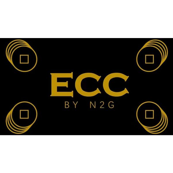 VT1_ECCHD_N2G_0