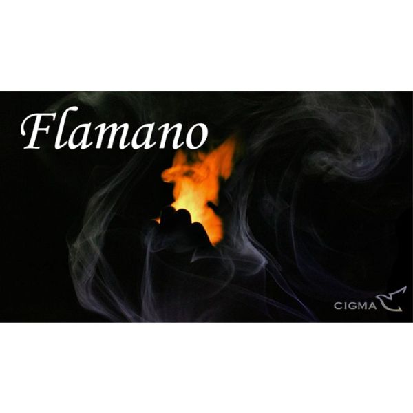 VT1_FLAMANO_0