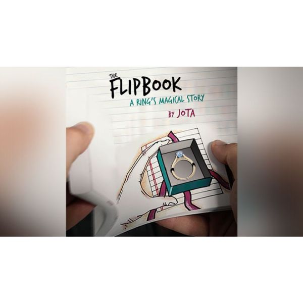 VT1_FLIPBOOK_0