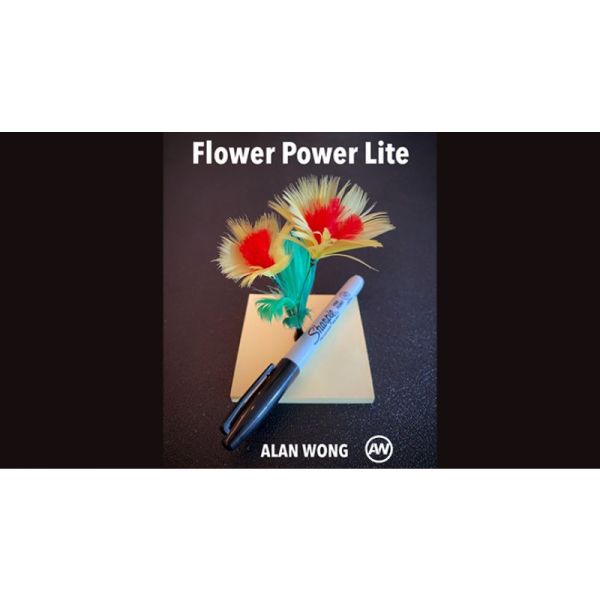 VT1_FLOWERPO_LT_0