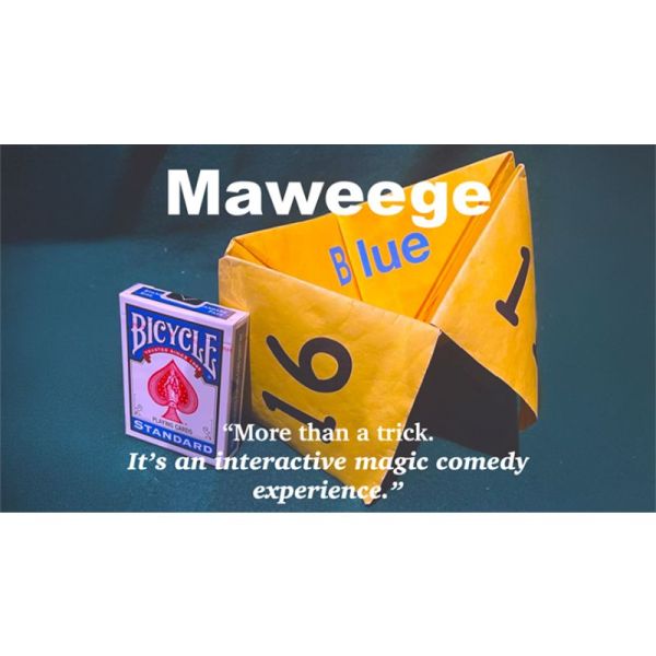 VT1_MAWEEGE_0