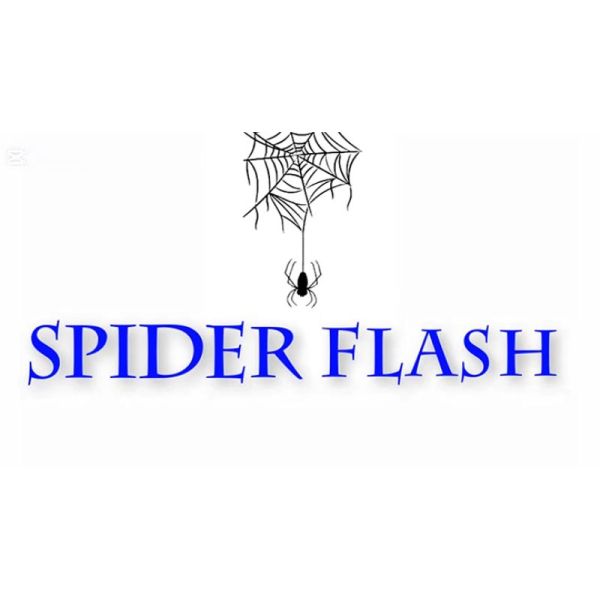 VT1_SPIDERFLASH_0