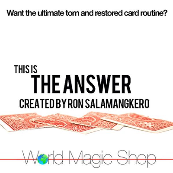 VT1_THEANSWER_0