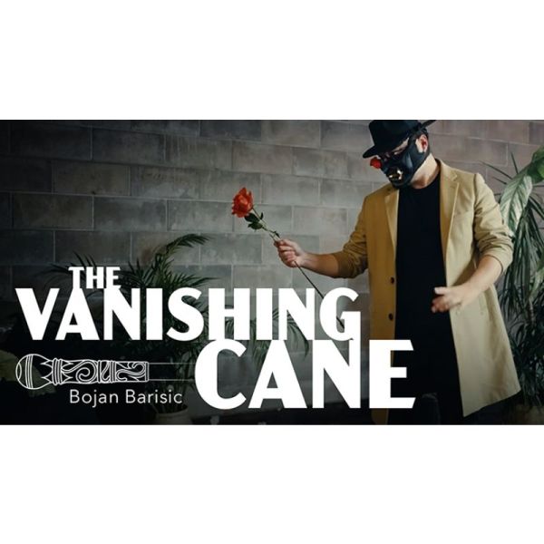 VT1_VANISHINGCANE_1