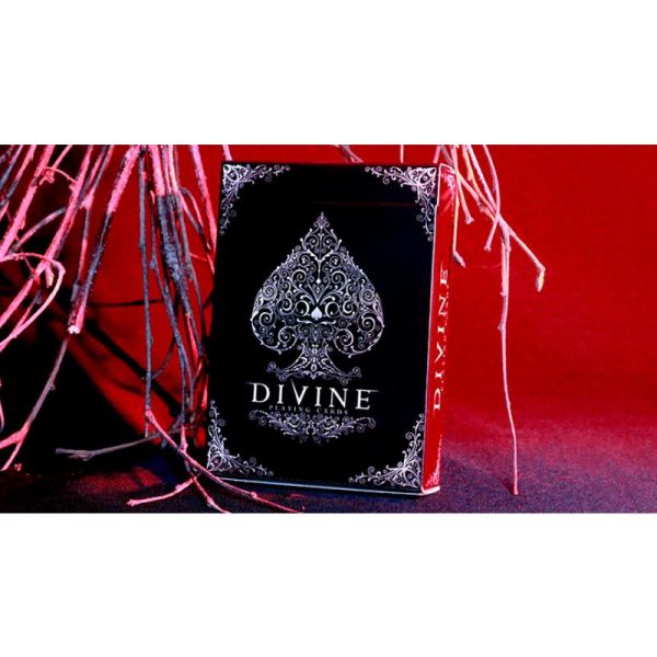 DIVI1