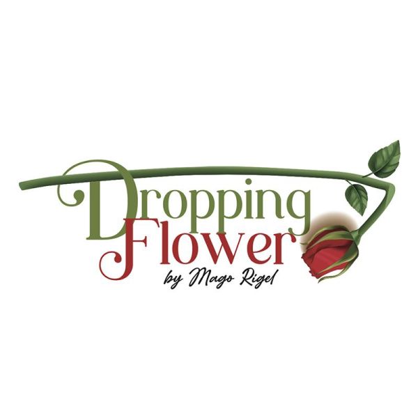 DROPPP1