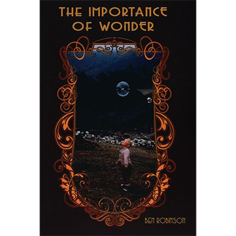 Foto The Importance of Wonder by Ben Robinson - Book (VT)