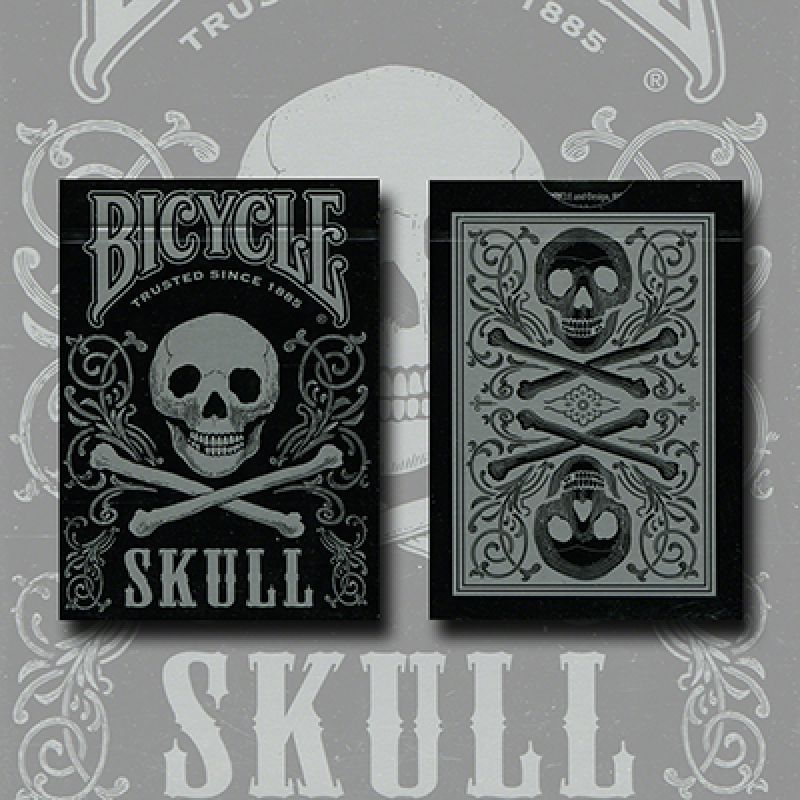 Foto Bicycle Skull Metallic (Silver) USPCC by Gambler's Warehouse
