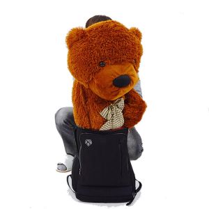 Appearing Teddy Bear - Large size