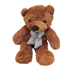 Appearing Teddy Bear - Small size