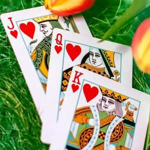 Butterfly Seasons Playing Cards - Spring  (marked)