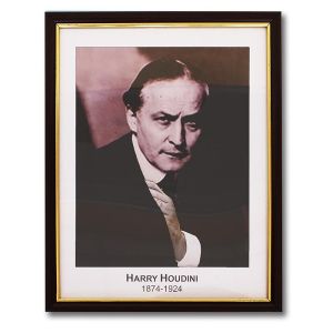 Houdini Prediction Frame