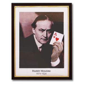 Houdini Prediction Frame