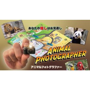 Animal photographer