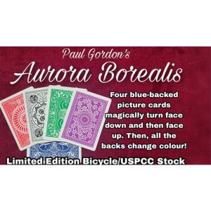 Aurora Borealis by Paul Gordon
