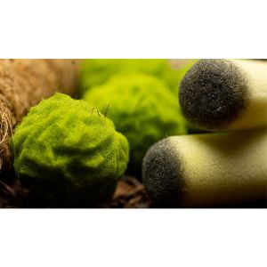 Cannabis Sponge Balls and Never Ending Spliffs (Gimmicks and Online Instructions) by Adam Wilber - Trick (VT)