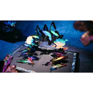 Morpho V2 Playing Cards Collection Boxset by TCC Fashion