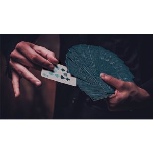 Owl (Blue) Playing Cards (VT)