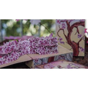 Sakura Renaissance 3D Pop-up Sunlight Edition Playing Cards