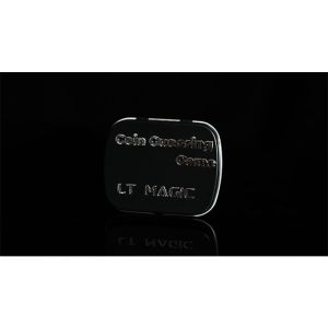 Coin Guessing Game by LT Magic