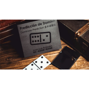 Dominoes Prediction by Juan Luis Rubiales