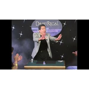 Premise Power & Participation Vol. 1 by David Regal and L & L Publishing - DVD