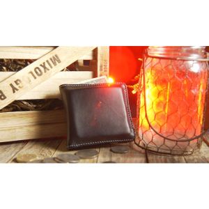 Easy Money Black Wallet (Gimmick and Online Instructions) by Spencer Kennard - Trick