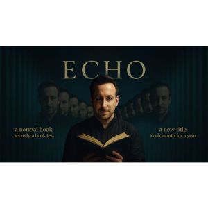 Echo Book Test by Vincent Hedan (Tarot de Marseille)