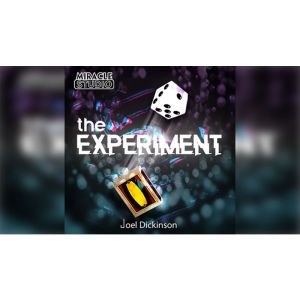THE EXPERIMENT by Joel Dickinson