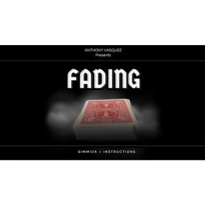 Fading (Red) by Anthony Vasquez
