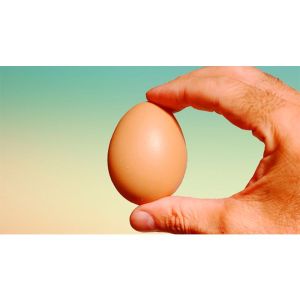Fake Egg Brown by Quique Marduk - Trick
