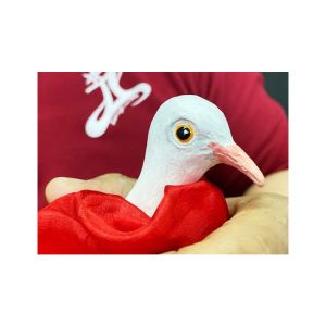 FINGER DOVE by JL Magic - Trick