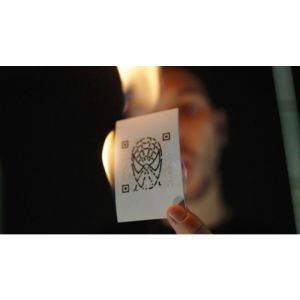Flash Me by Les French Twins