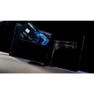 Fraud by Peter Turner