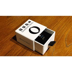 GAMBLERS RING (SIZE 10) by Bacon Magic - Trick