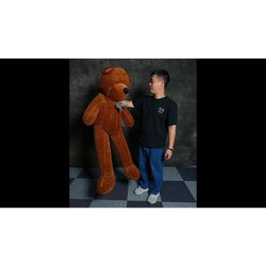 Teddy Bear Appearance (Extra Large) by MS Magic