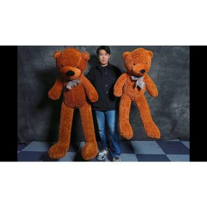 Teddy Bear Appearance (Extra Large) by MS Magic