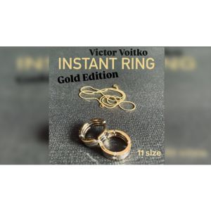 Instant Ring (silver/gold, Size 11) by Viktor Voitko