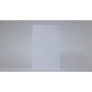 Bicycle Jumbo Blank Face (Red)