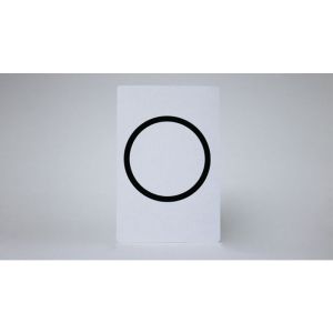 Bicycle Jumbo Gaff Card Double Face (Circle/Square)